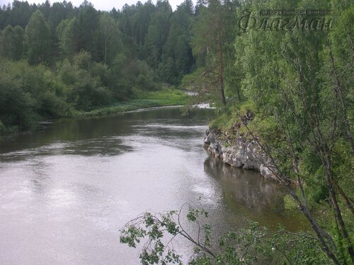 DSCN3659